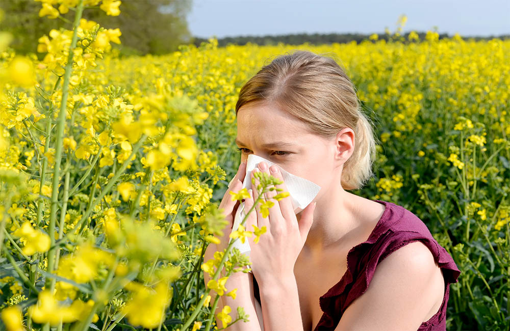How to cope with Hay Fever
